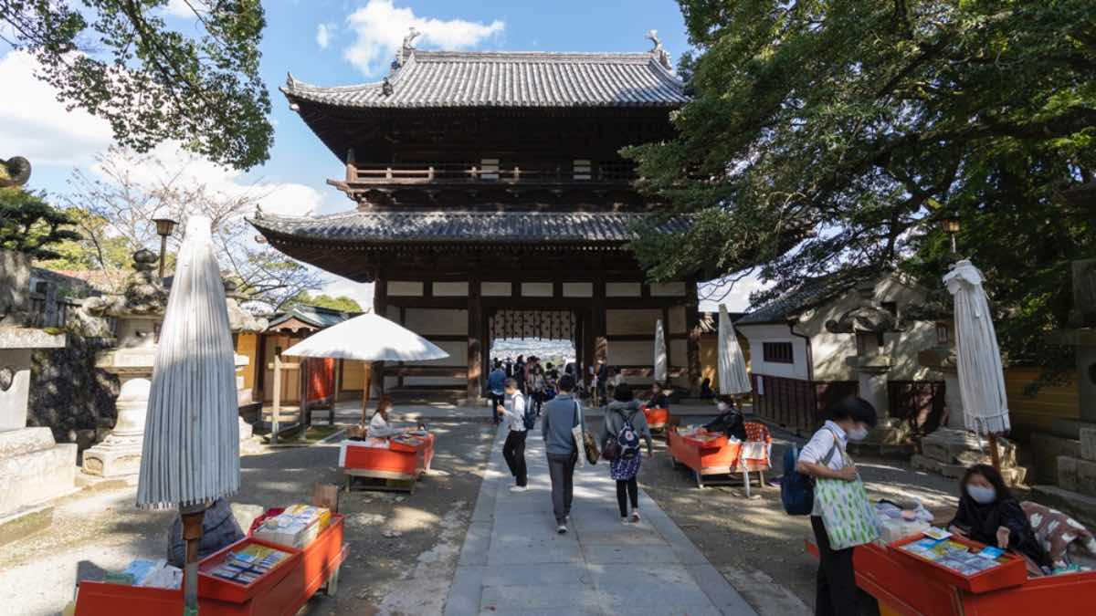 ¿Quieres viajar a Japón gratis? El IMJUVE te lleva, aquí los requisitos