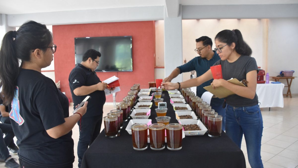 Público en general podrá disfrutar del café con las actividades planeadas (09 de agosto). Fotografía: Especial