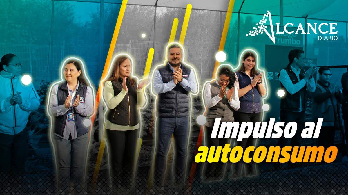 Impulso al autoconsumo con agricultura urbana
