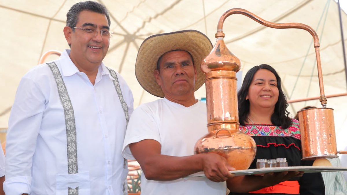Lanza Sergio Salomón “Impulso al Agave Mezcalero” en la Mixteca