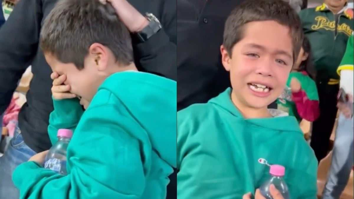 Pericos Niño
