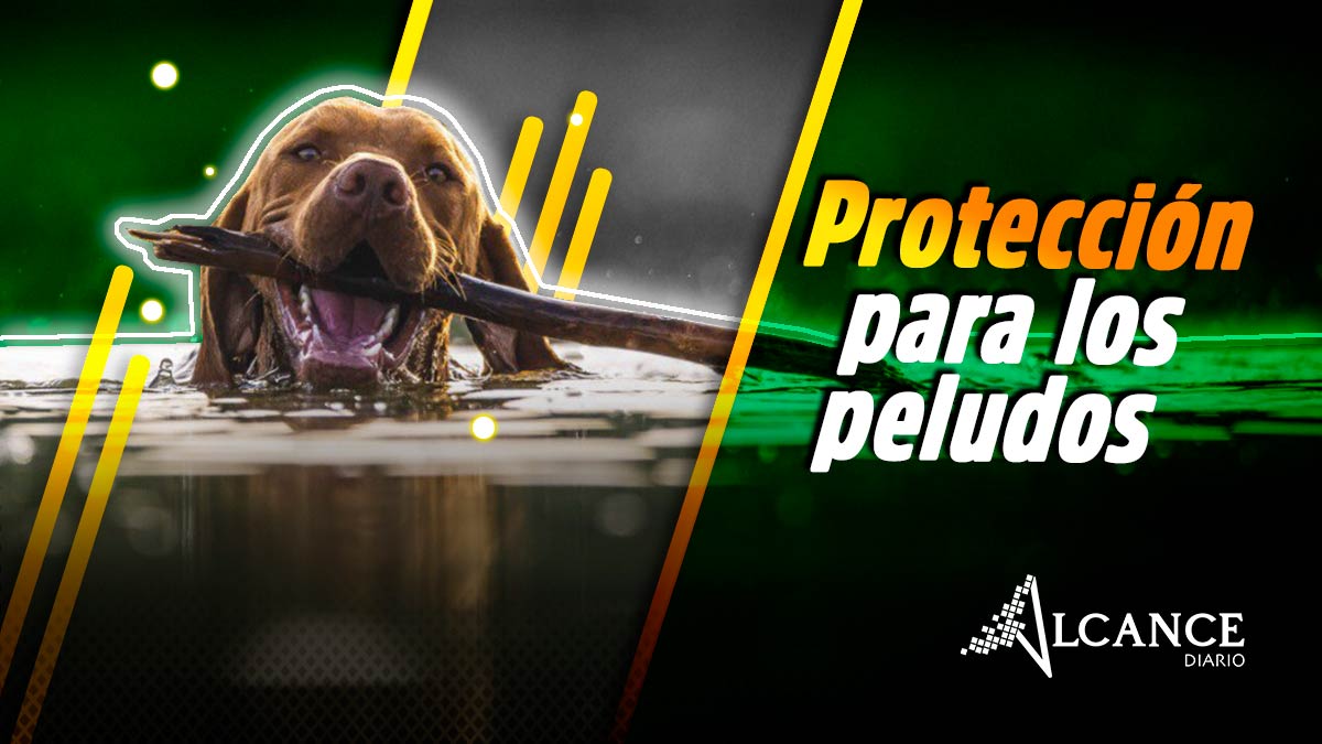 Fotografía: Especial