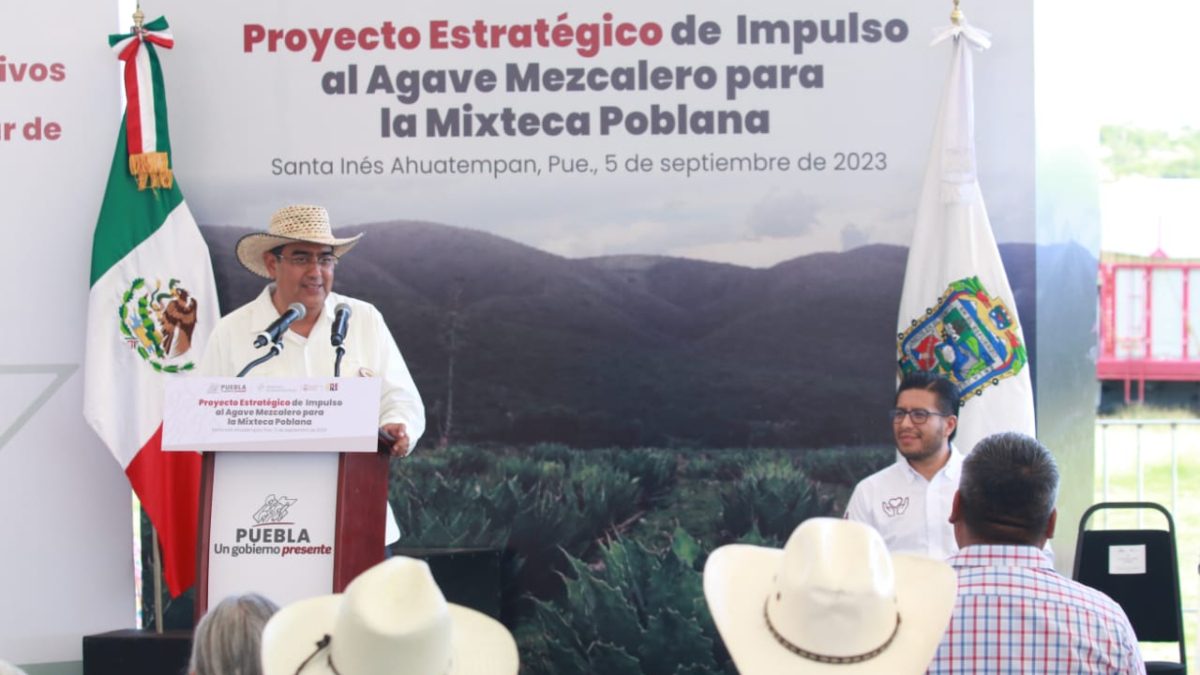 Entrega de acciones para proyecto de Agave Mezcalero (05 de septiembre). Fotografía: Especial