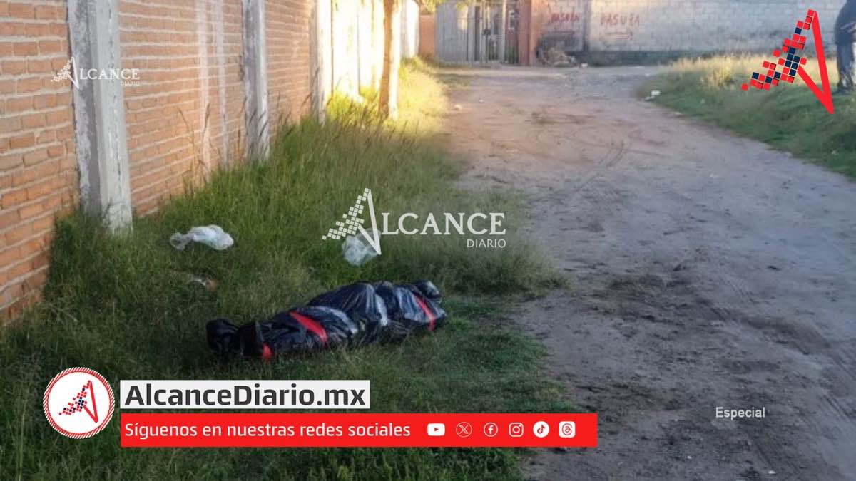 Embolsado en Chachapa Amozoc-2