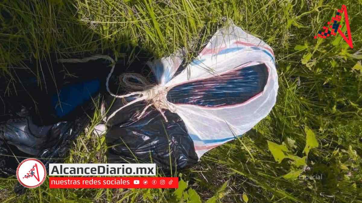 Embolsado en Coronango-