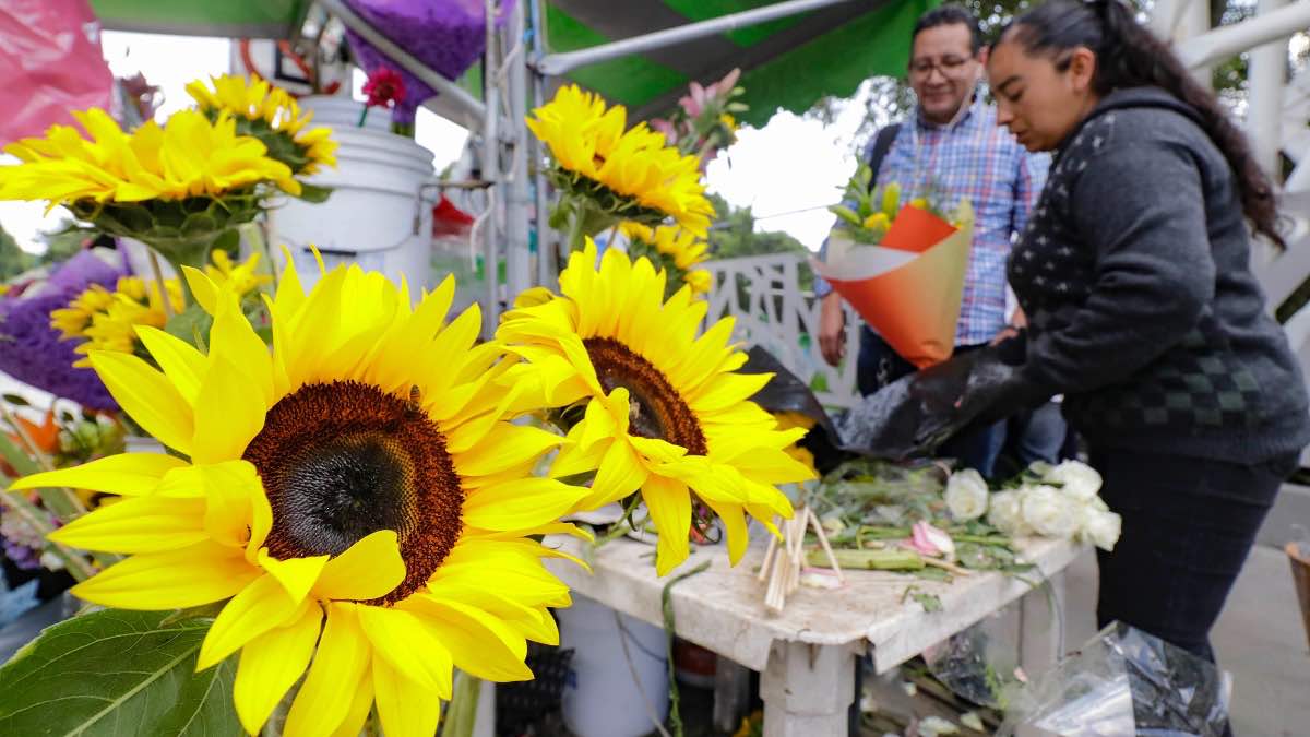 Flores amarillas Puebla