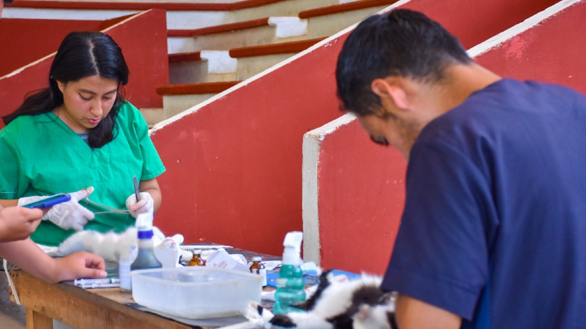 Impulsan en Huitzilan campañas de esterilización canina y felina