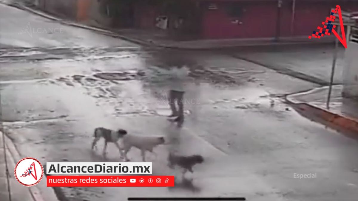Maltrato animal en Tres Cerritos-2