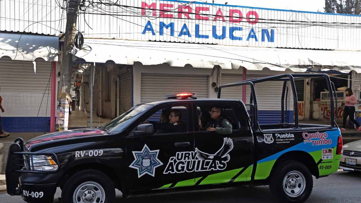 Antorcha Campesina Amalucan