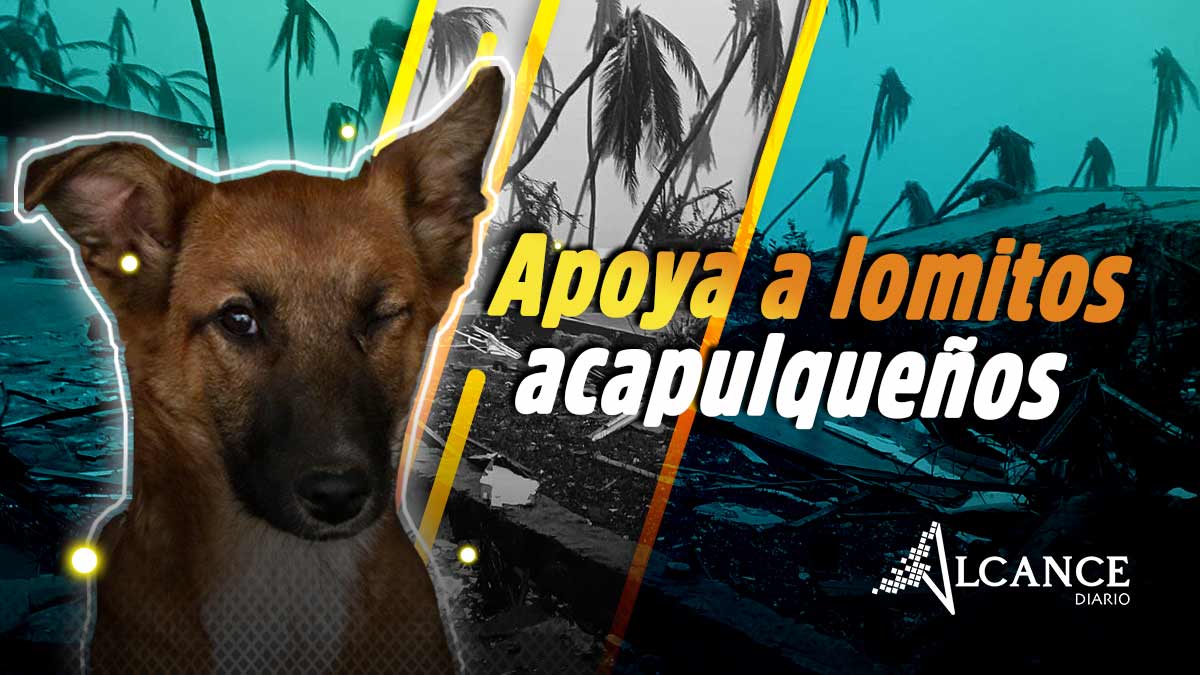 Apoya a lomitos acapulqueños