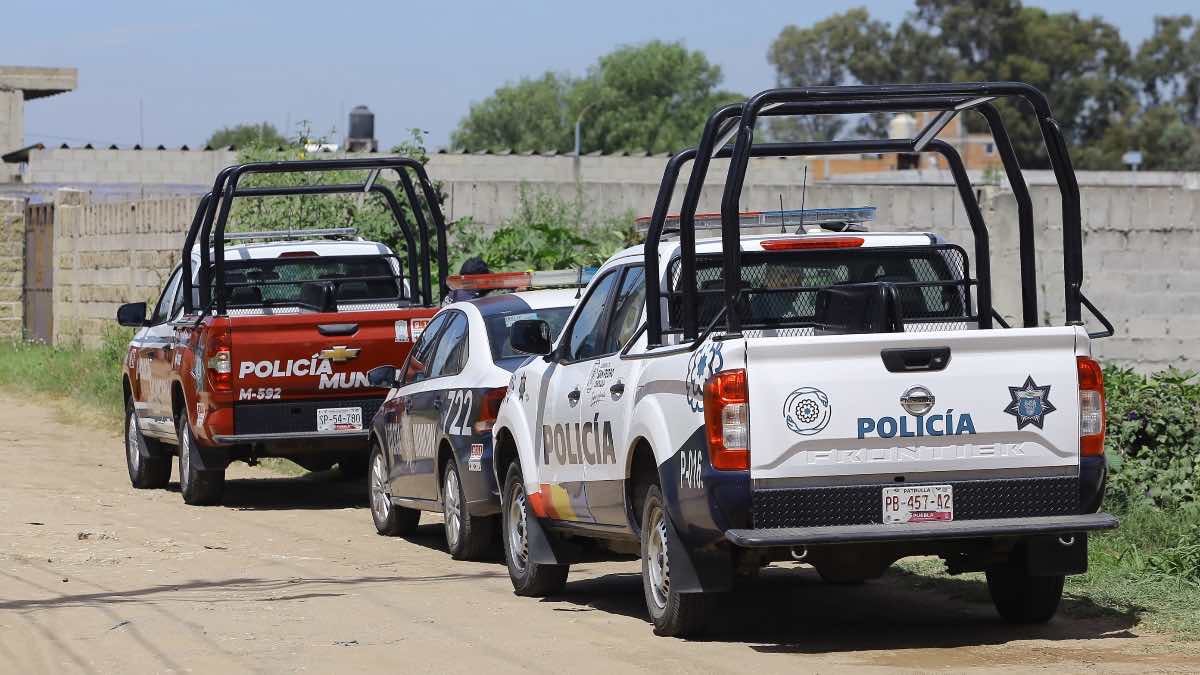 Hallan cuerpo devorado por ratas en San Pedro Cholula