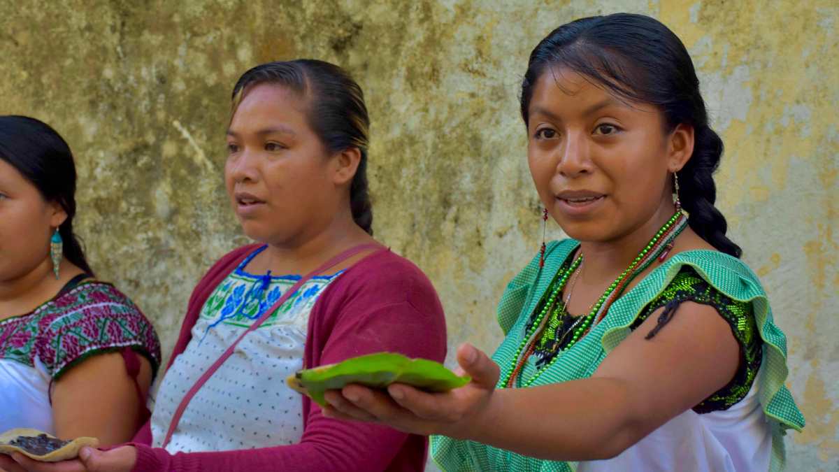 Que permitió a los pobladores disfrutar de platillos como el Pitzoquilit, Tamales Ijtikokok, mole, salsa de molcajete, el tradicional café y tortillas hechas a mano (02 de octubre). Fotografía: Especial