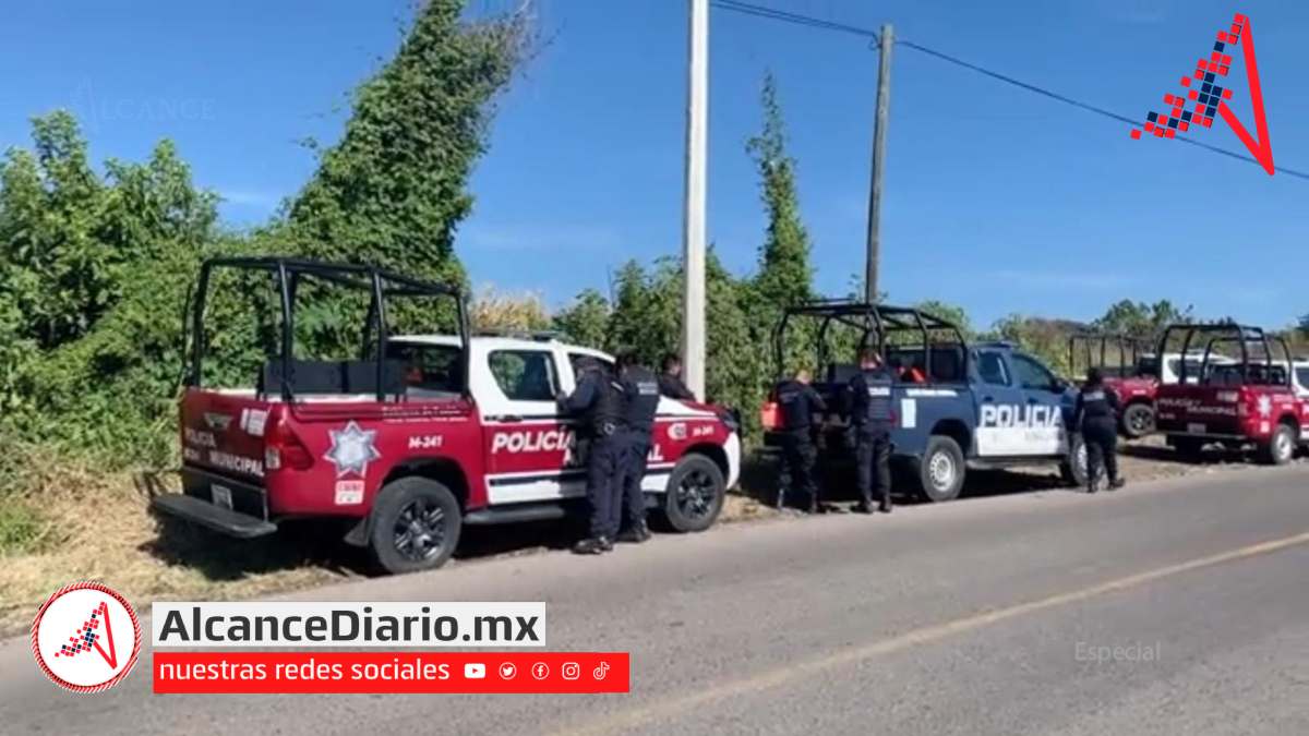 Este hallazgo se hizo en el camino a Tlamapa. Fotografía: Especial