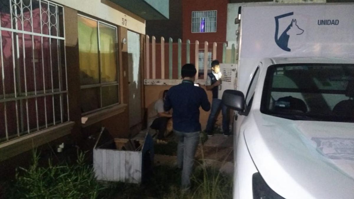 Los diez animales, se encontraban en condiciones deplorables, rodeados de basura y suciedad. Sin embargo, ahora los perritos se encuentran bajo el resguardo del Instituto. Fotografía: Redes Sociales