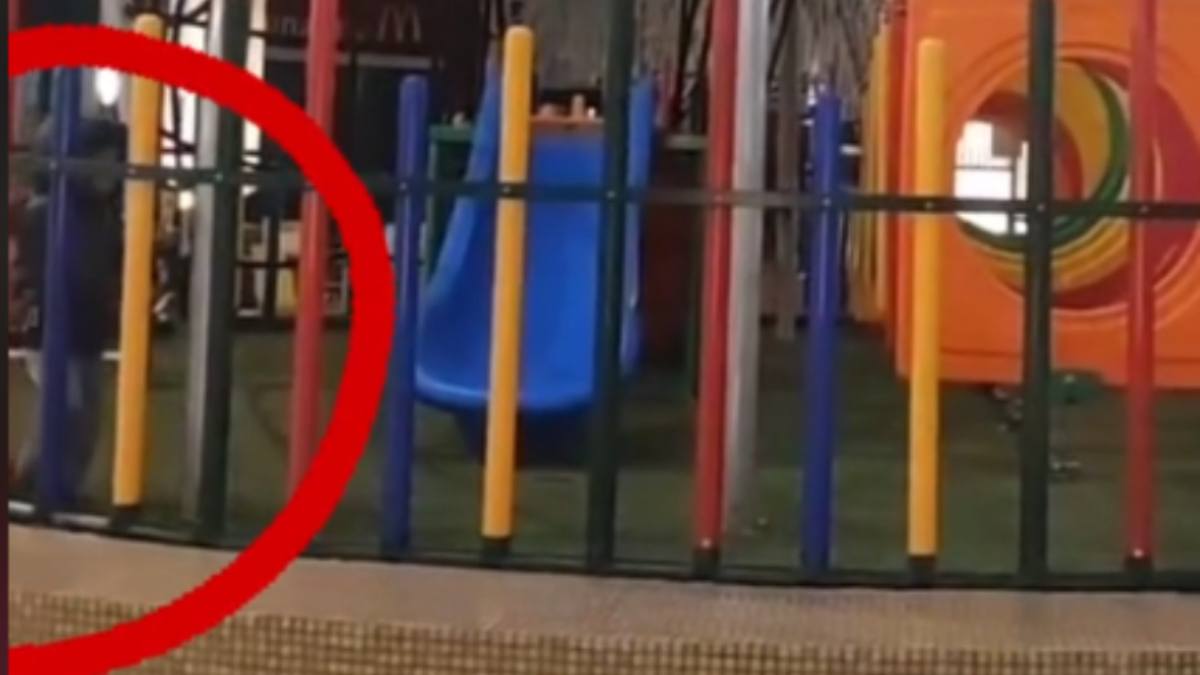 El video fue captado por uno de los guardias de seguridad de la plaza durante su rondín nocturno. Fotografía: Redes Sociales
