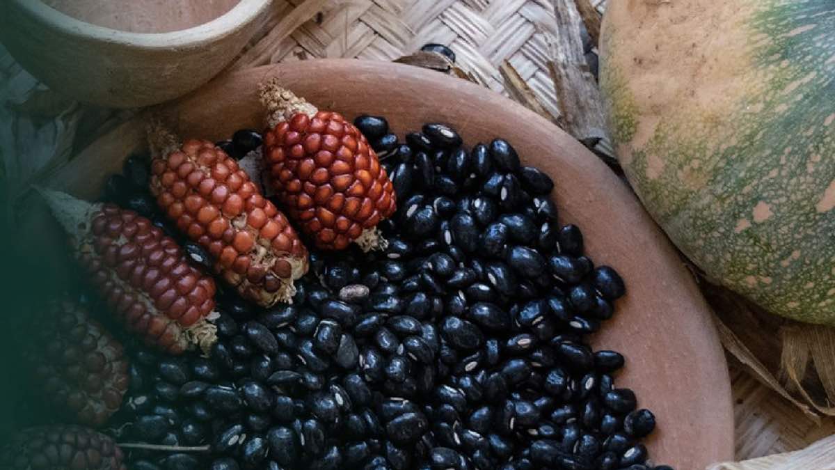 Organizarán en conferencia internacional sobre autosuficiencia alimentaria y agroecología