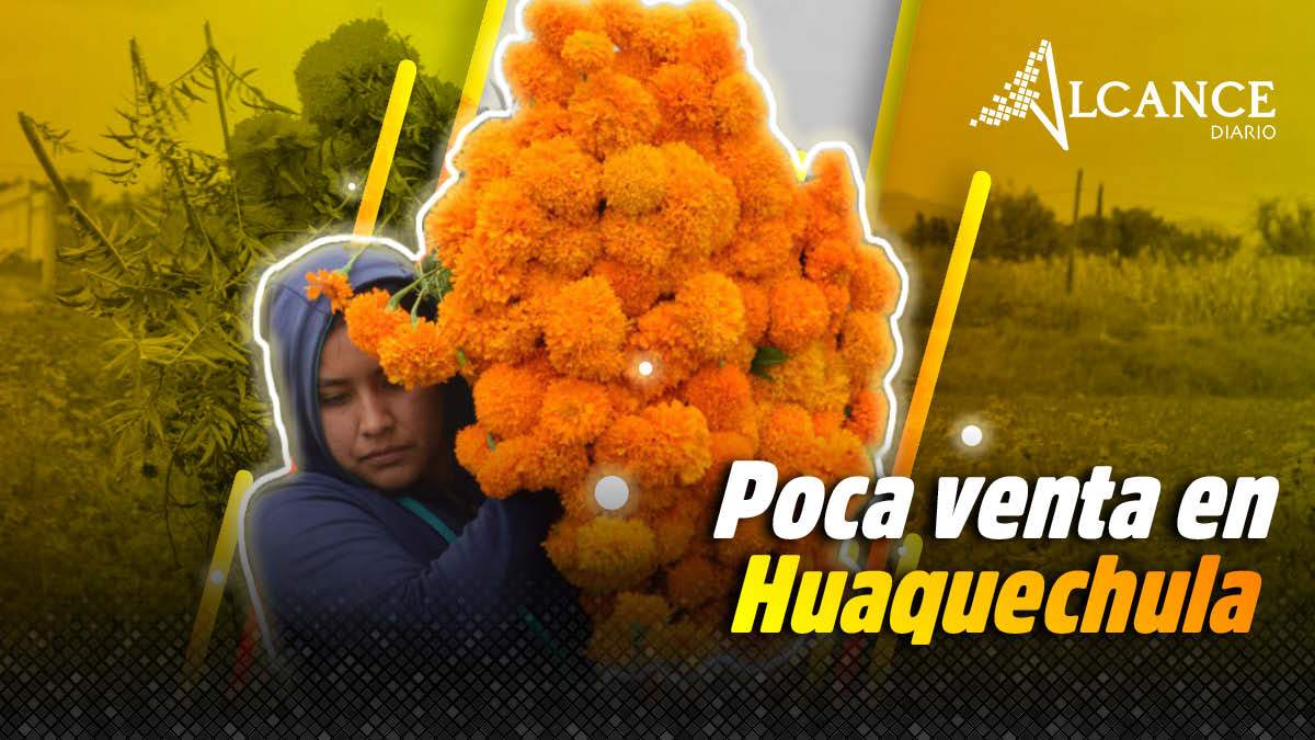 Reportan campesinos baja venta de flor de muerto en Huaquechula