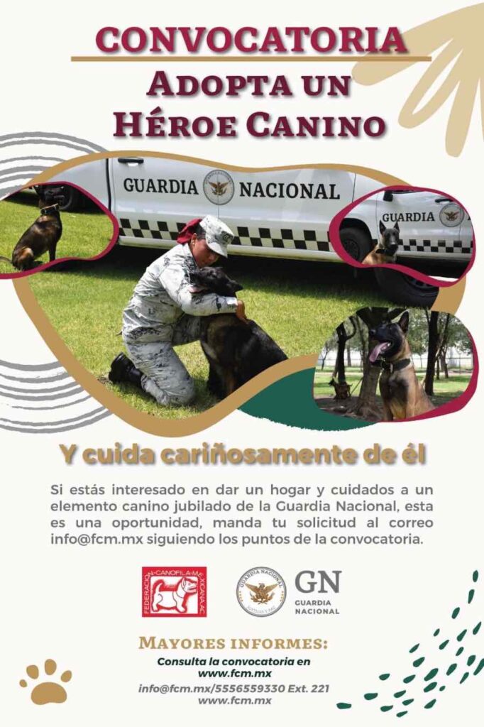 Adopta un perrito jubilado de la Guardia Nacional