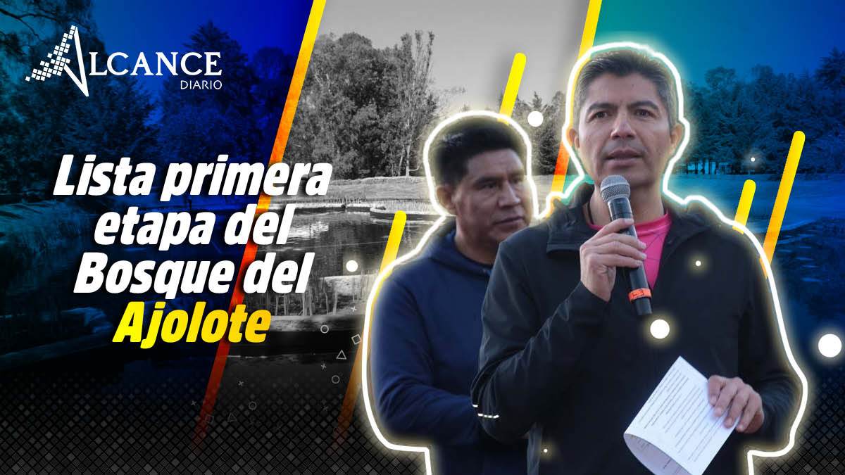 Bosque del Ajolote avanza e inicia rehabilitación del bulevar Xonacatepec