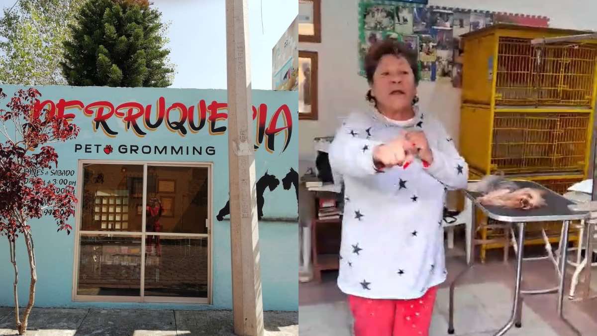 Denuncian a estética canina en Cholula por haber matado a una perrita