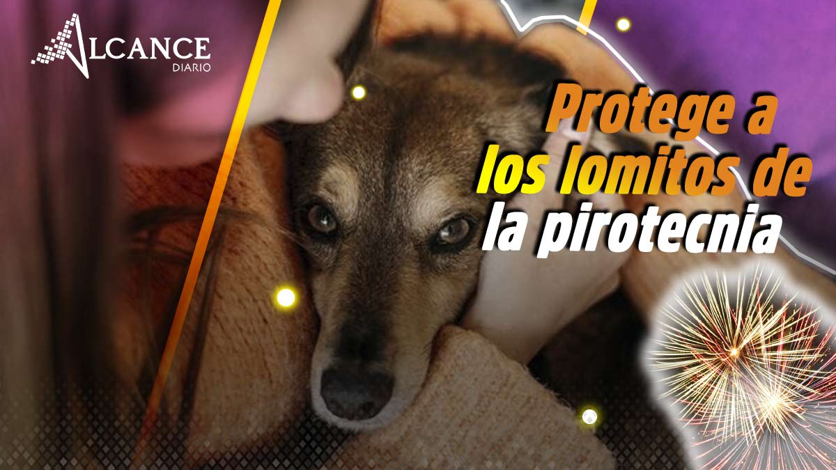 Protege a los lomitos de la pirotecnia