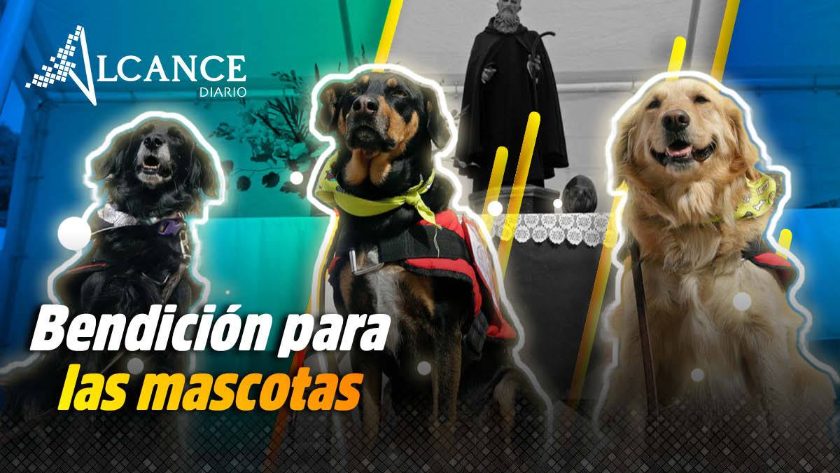 Aquí puedes llevar a tus mascotas a recibir la bendición por el día de San Antonio