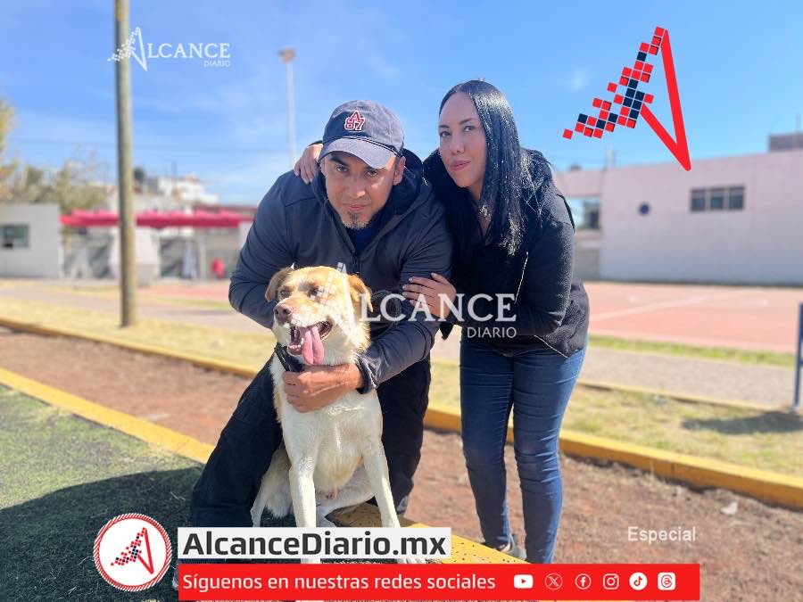 Boby perrito de los camiones-2