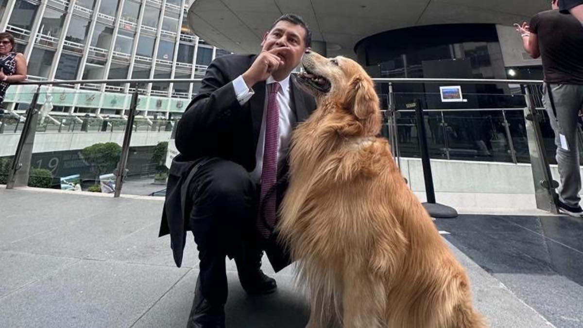 Impulsa Alejandro Armenta iniciativas para el bienestar animal