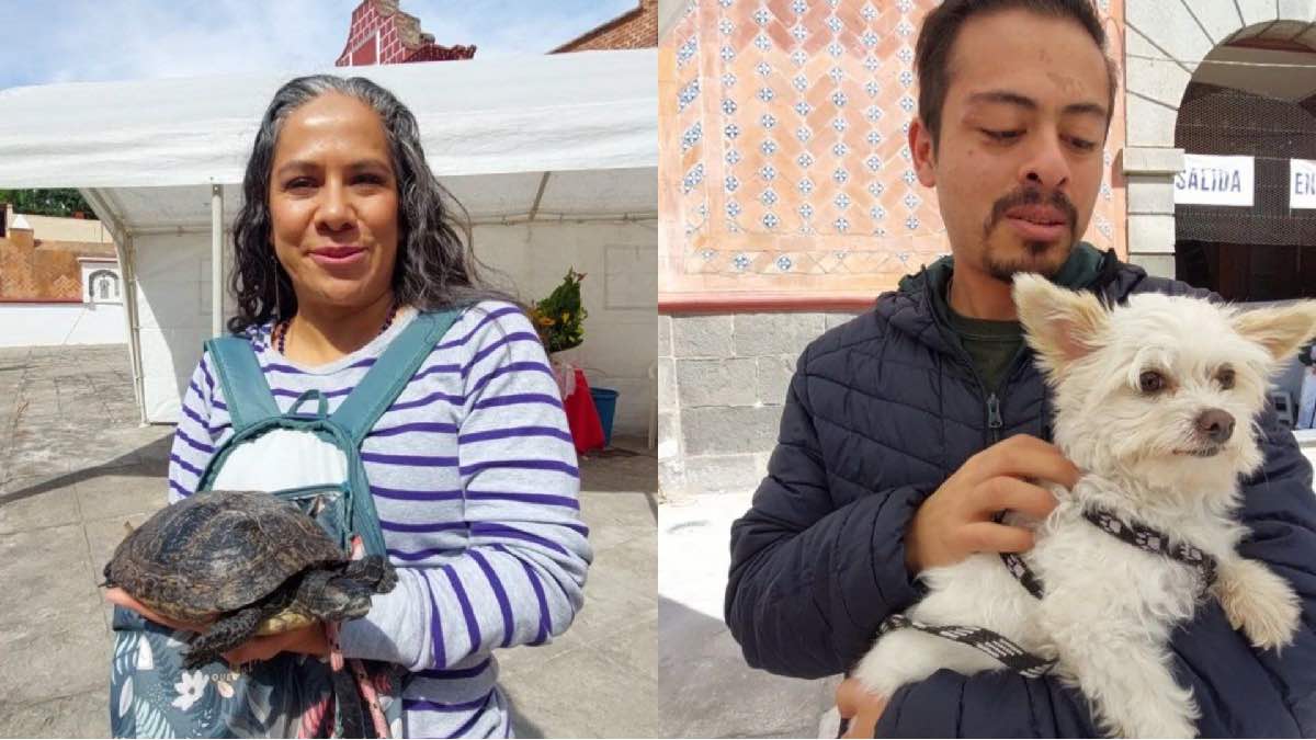 “La vida de las mascotas es valiosa”: fieles llevan a sus animalitos a recibir la bendición