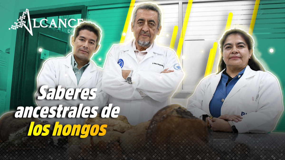 Con investigación sobre hongos silvestres en La Malinche, la BUAP busca rescatar saberes ancestrales