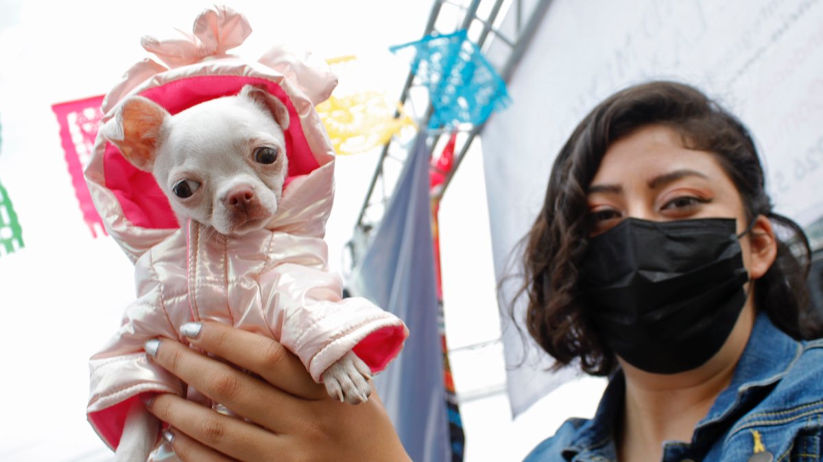¿Tienes mascotas y vas a la BUAP? Participa en el Concurso de Disfraces del Pabellón Universitario