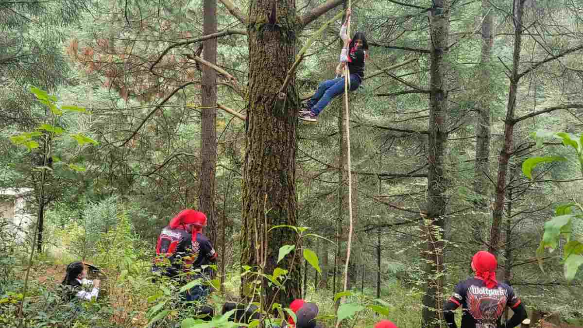 ¡Únete al Wolfpack de la BUAP y reforesta las montañas!