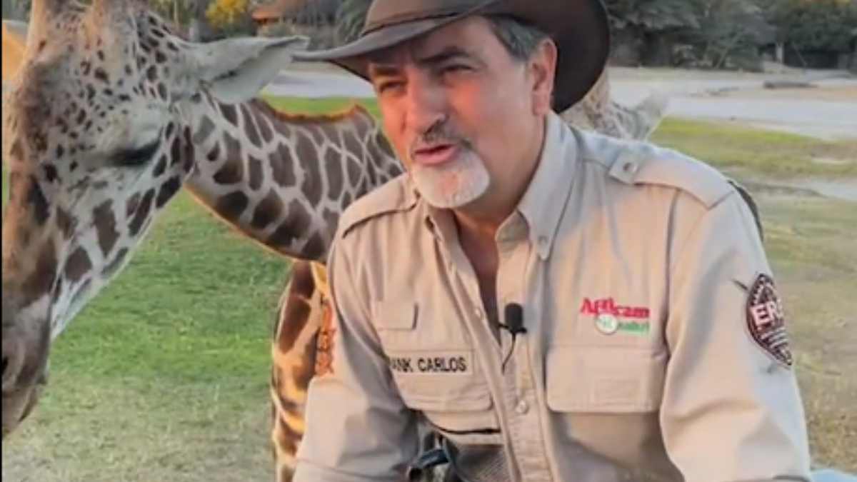 ¿Cómo será el viaje de Benito desde Ciudad Juárez hasta Africam Safari?