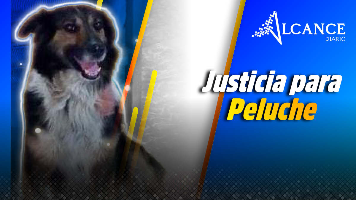 Justicia para Peluche