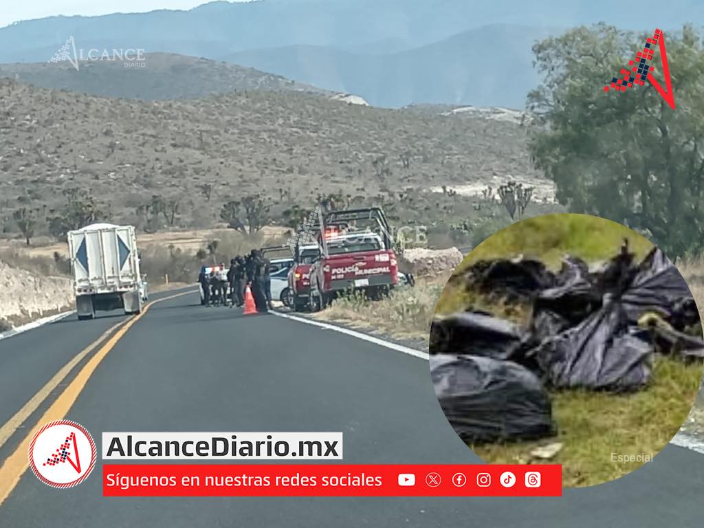 Localizan bolsas con al menos cinco cuerpos en Cañada Morelos