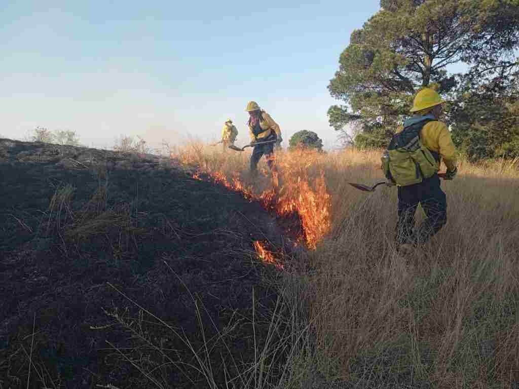 Brigadas combaten incendios forestales en Puebla