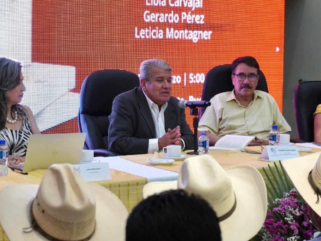 “El cacicazgo es fenómeno del México de hoy”: Alejandro Envila Fisher