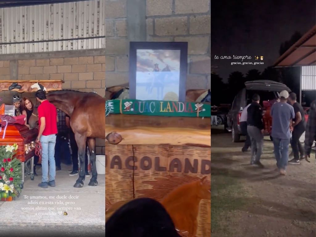 ¡Intenta no llorar! Caballos de Cuacolandia se despiden de Elena Larrea en su funeral