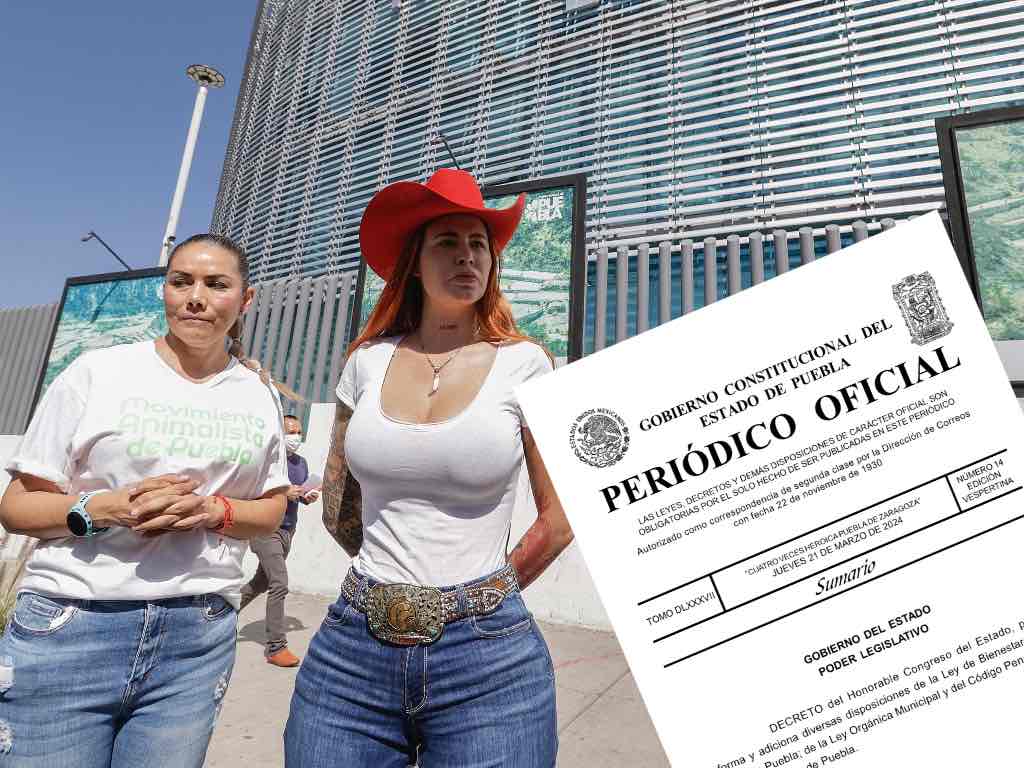 Ley Elena: Castigarán en Puebla la zoofilia con hasta 4 años de cárcel