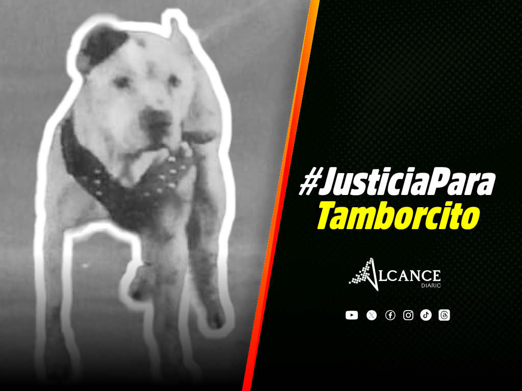 Detienen y encarcelan a sujeto que apuñaló 40 veces a "Tamborcito" perro pitbull en Puebla