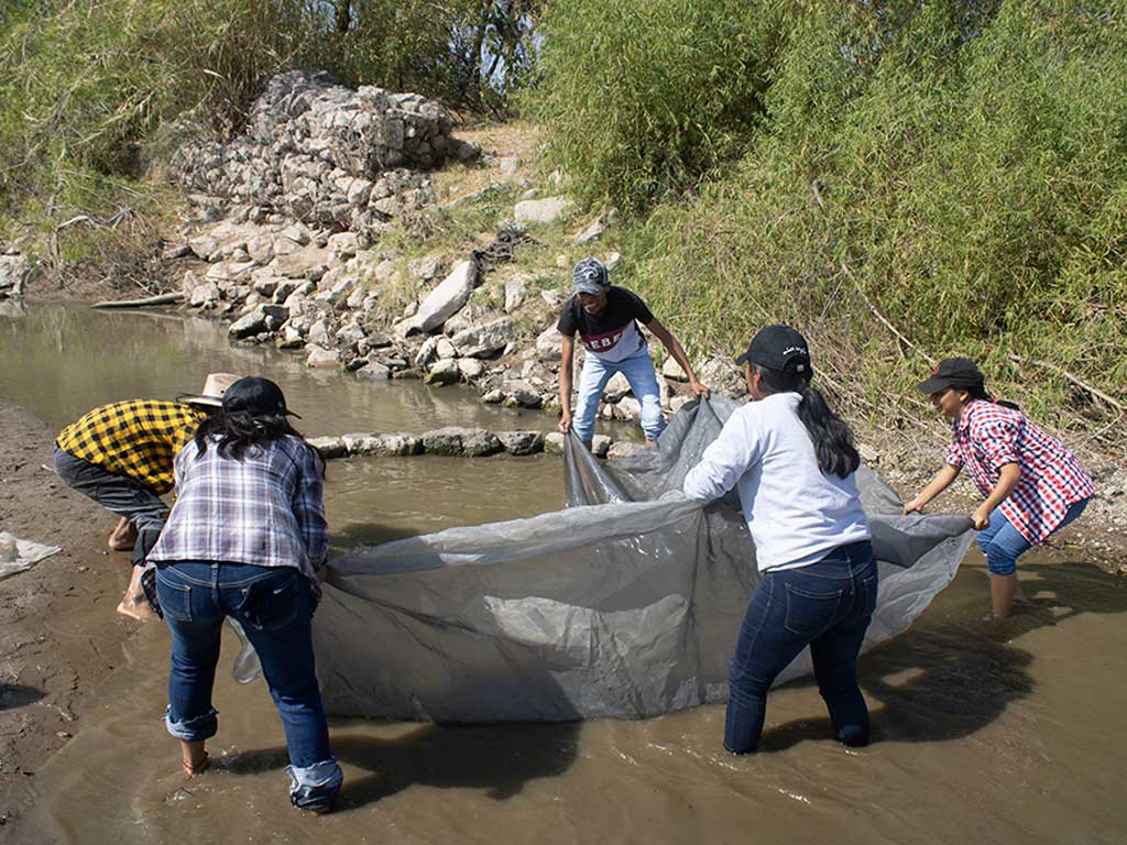 Río Mixteco