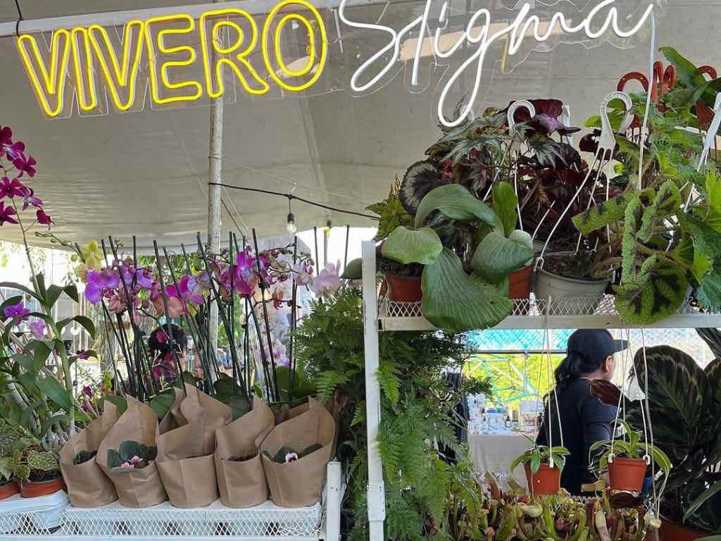 Para celebrar la primavera: regresa el Plant Fest a Cholula este fin de semana