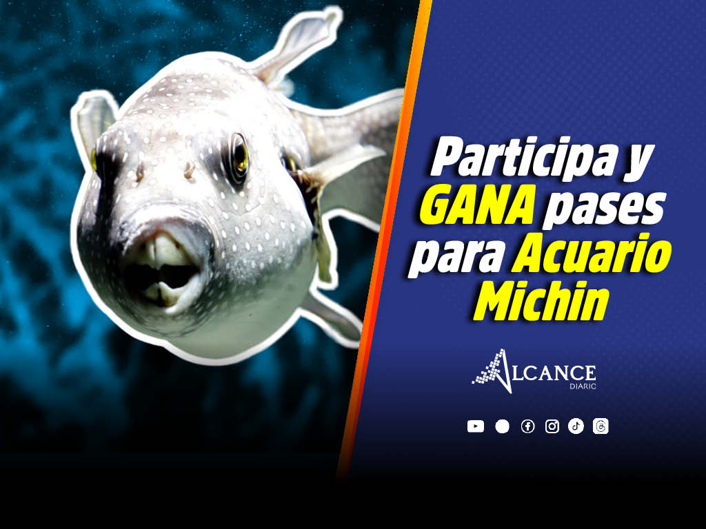 Diviértete y aprende con Alcance Diario en el Acuario Michin