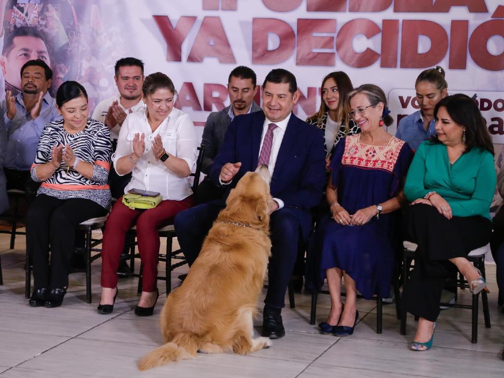 Presenta Alejandro Armenta proyecto de Bienestar Animal