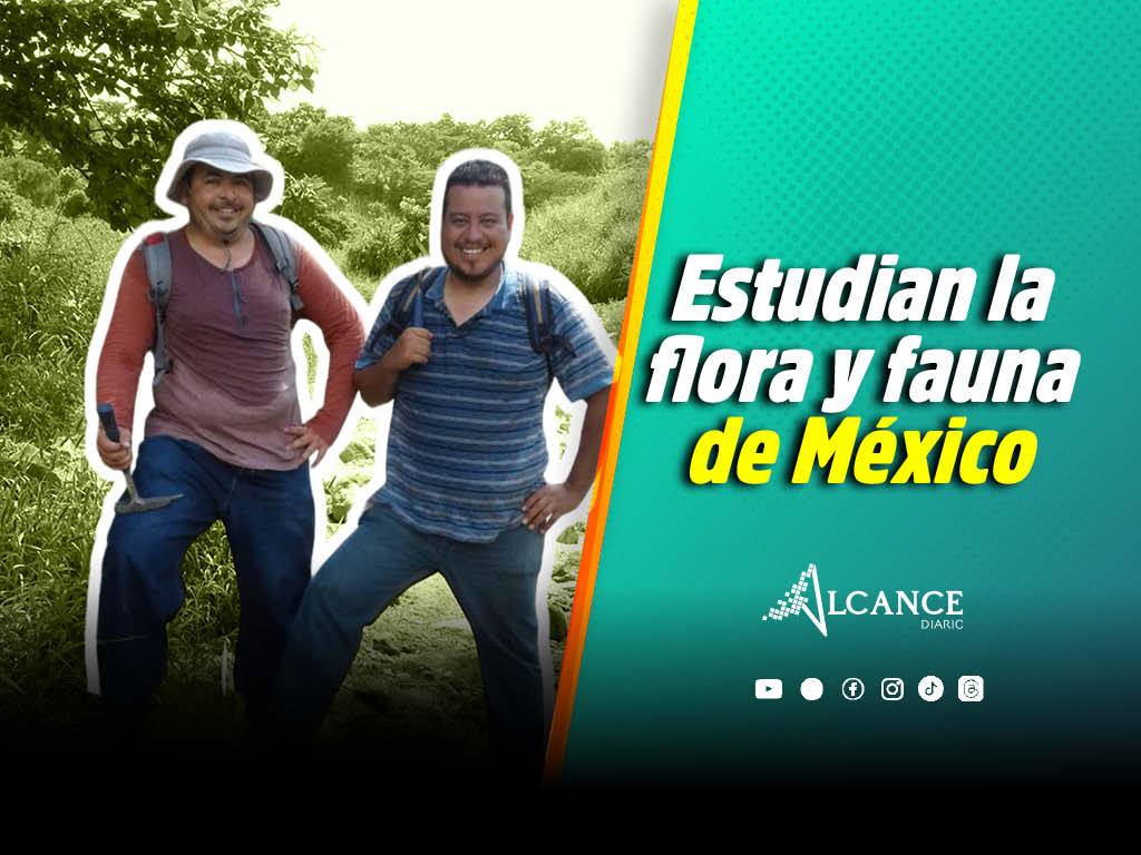 Laboratorio de Paleobiología de la BUAP estudia el origen, la evolución y extinción de la flora y fauna de México