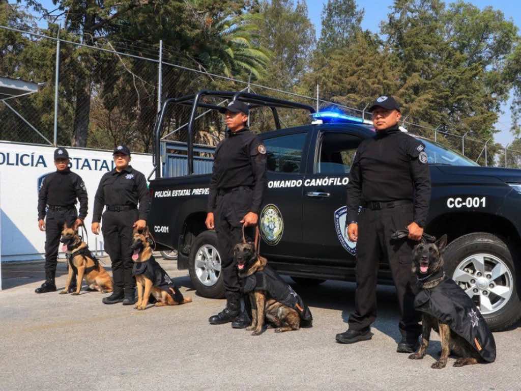 Comando Canófilo de la SSP logra certificación internacional en detección de narcóticos