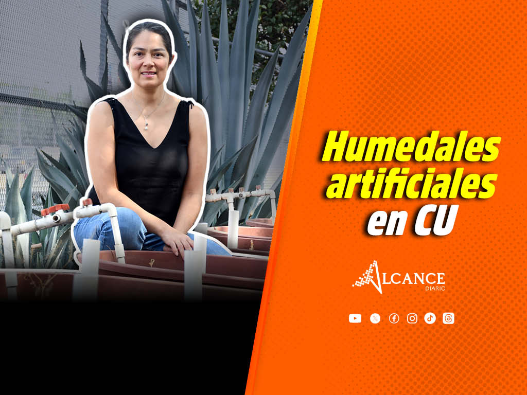 Implementan en la BUAP humedales artificiales para tratar aguas residuales