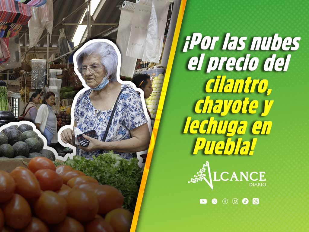Aumenta el precio del cilantro, chayote y lechuga en mercados de Puebla