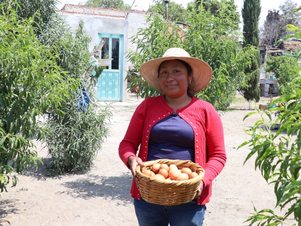 Programa Alimentario