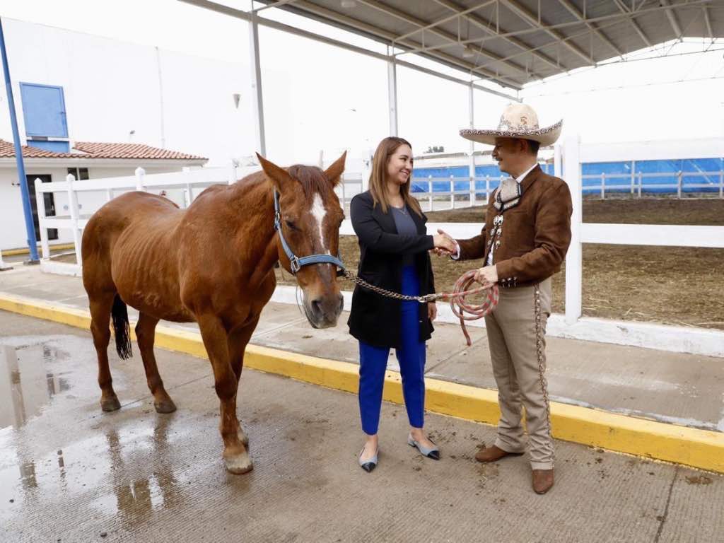 Se retiran dos co-terapeutas equinos del Sistema Municipal DIF